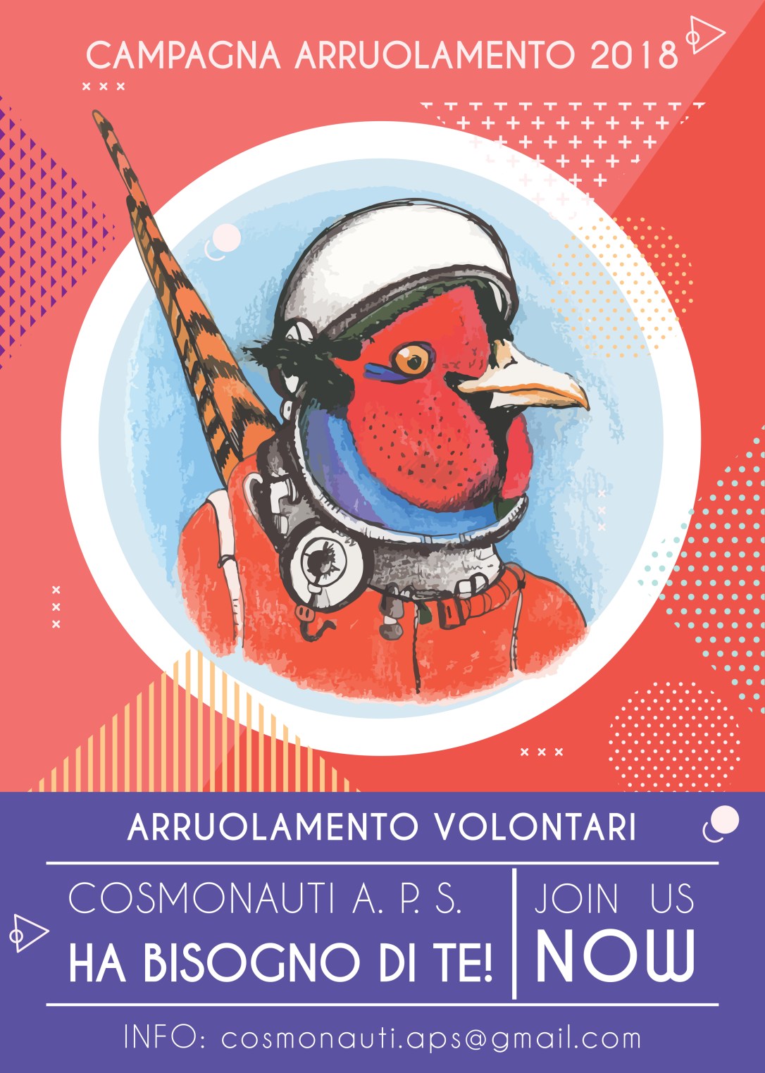 STEP ASIDE PHEASANT.jpg