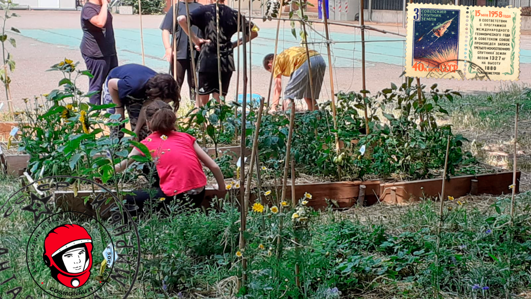 Cartoline di una estate&nbsp;cosmonautica