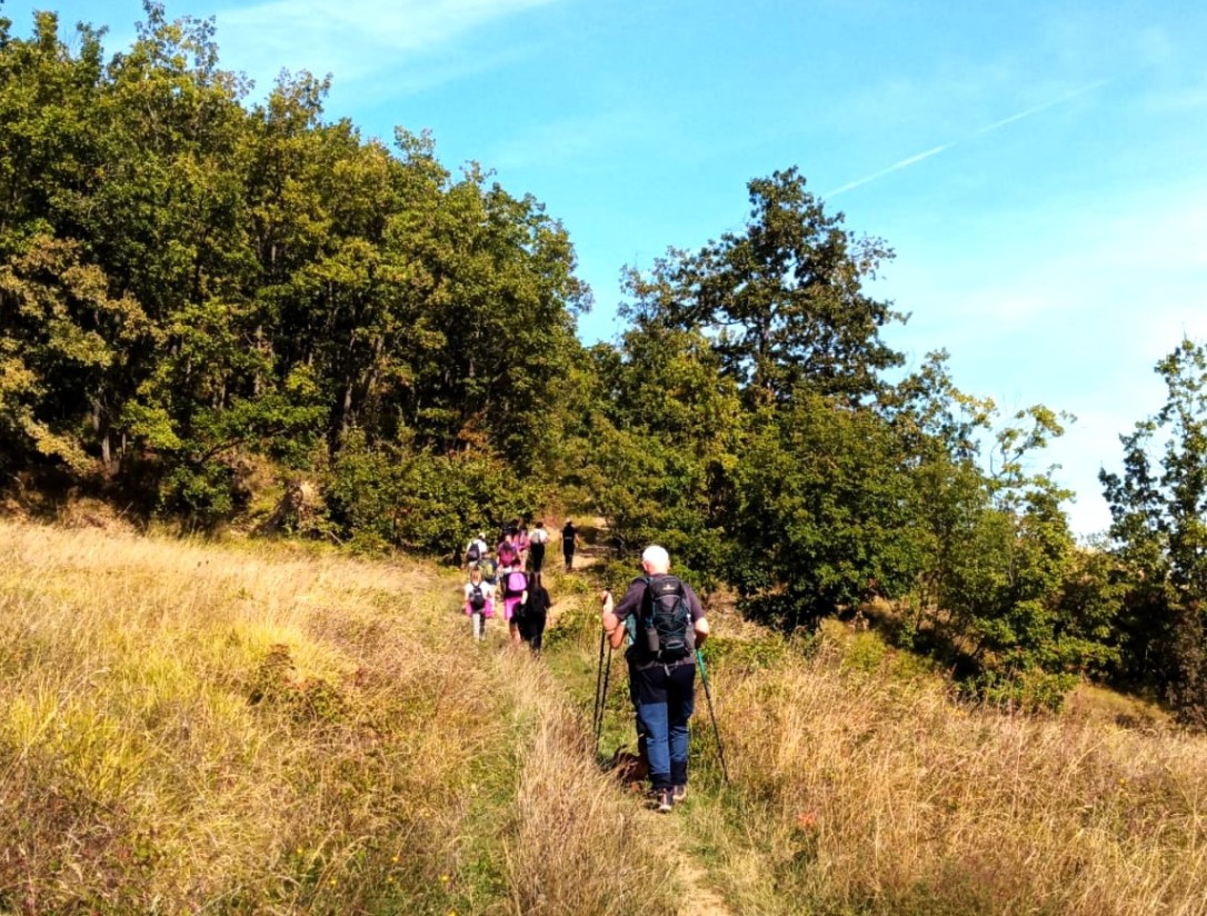 In cammino sulle montagne: imparare a leggere il&nbsp;bosco